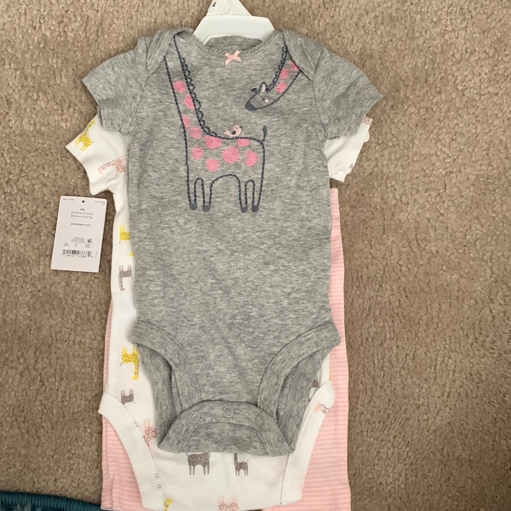 Carter’s little girl’s 3 piece set